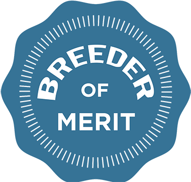 Collette Jaynes - Harris School Of Public Policy (398x360)