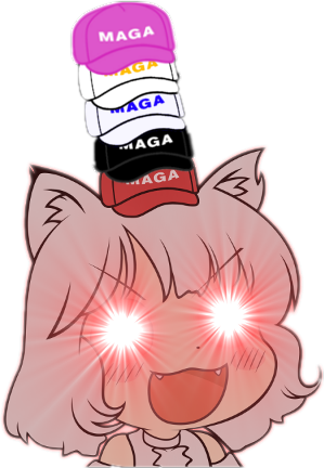 Maga Haga Aga United States Of America Crippled America - Awoo Woke (299x432)