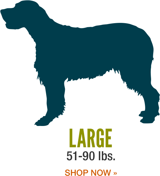 Selecting The Perfect Dog Bed - Teenage Daughter Survivor Art Print - Mini By Creativeangel (600x640)