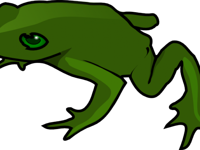 Green Frog Clipart Pet Frog - Clip Art Animals Frog (640x480)