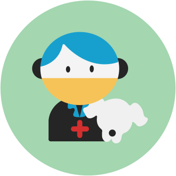 Vet Formulated - Dog Food (360x360)