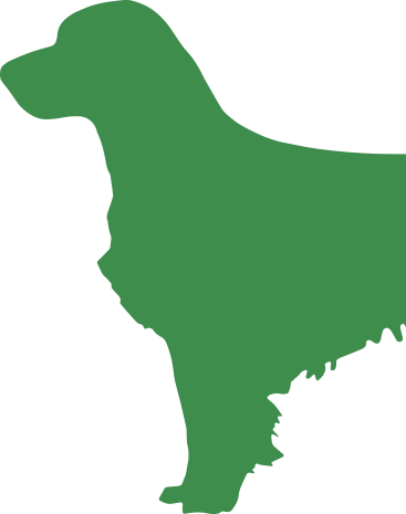 Read About The Identification Of Multiple Ospcs » - Green Dog (367x465)