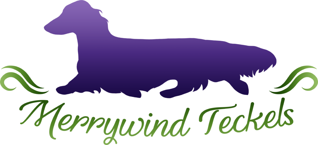 Skye Terrier (1024x469)