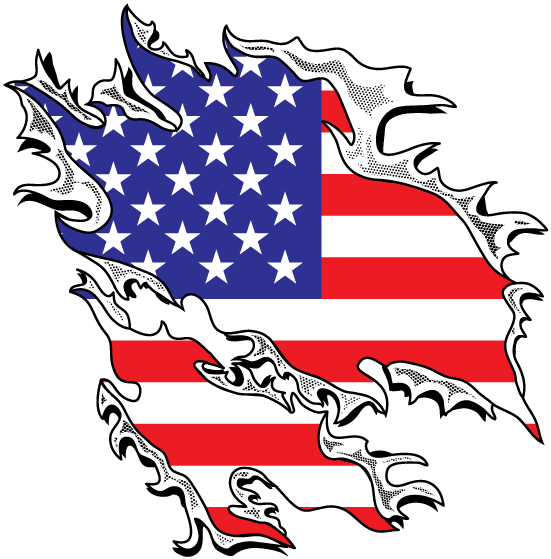 United States Of America Usa Flag Land Of The Free - Uk Us And France (650x618)