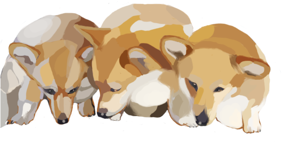 House In Full Symbiosis - Pembroke Welsh Corgi (640x310)