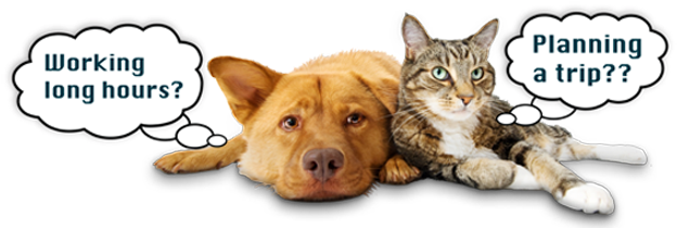 Premier In-home Pet Care Services In Los Angeles - Dog Walking And Sitting (635x215)
