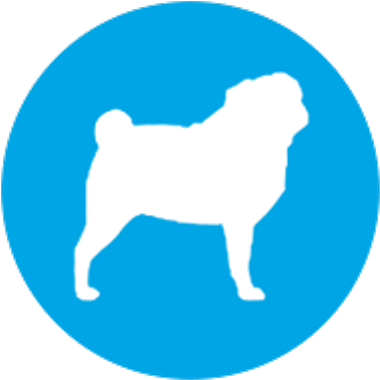 Ipugtv - Nyc Domain (400x400)