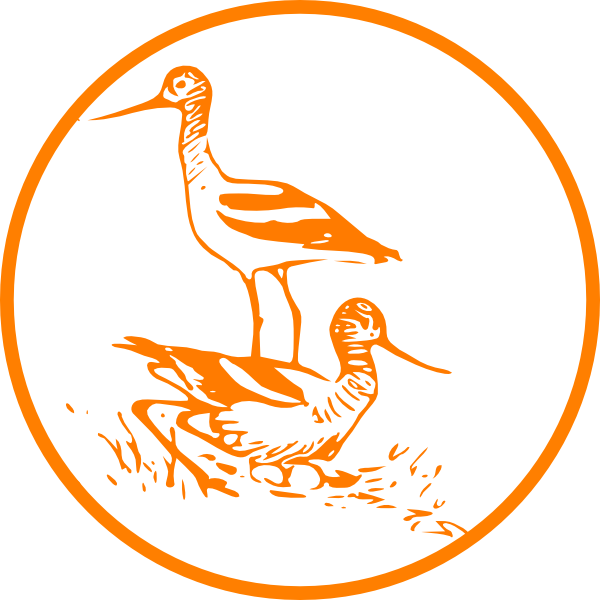 Clipart Info - Bird (600x600)