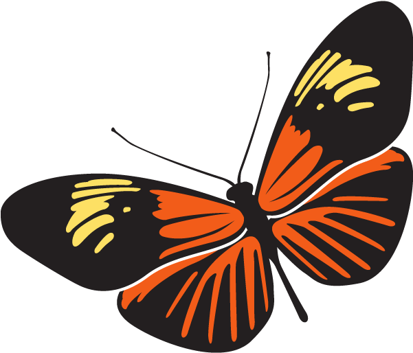 Inspired By The Lightness And Beauty Of A Butterfly, - Gif Rama Rama Png (600x617)