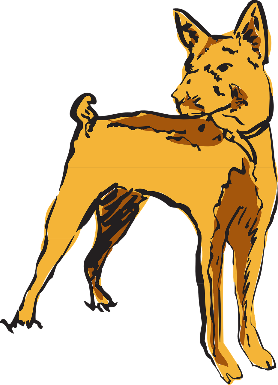 Dog Watching Pet Standing Png Image - Dog (927x1280)