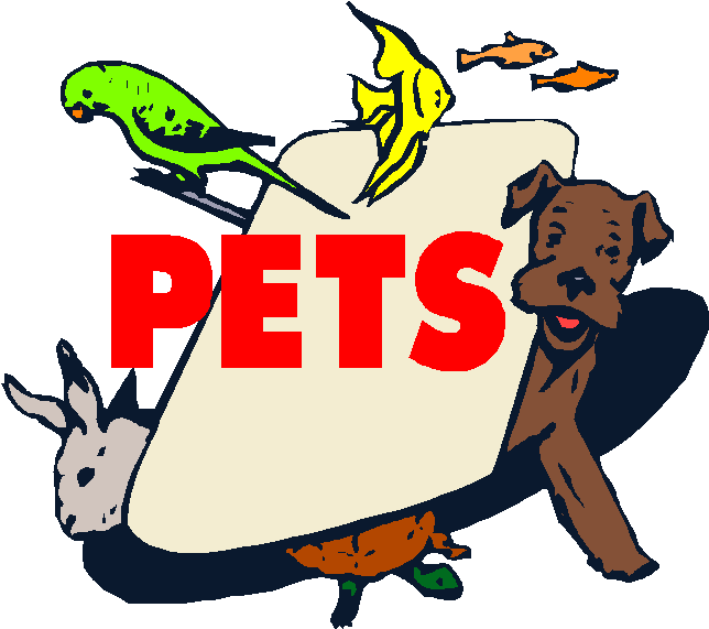 Pets - Pet Store (650x571)
