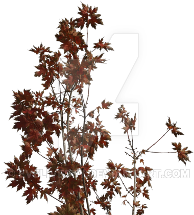 Autumn Leaves Sidebar Or Overhang Png By Evelivesey - Autumn Plants Png (400x461)