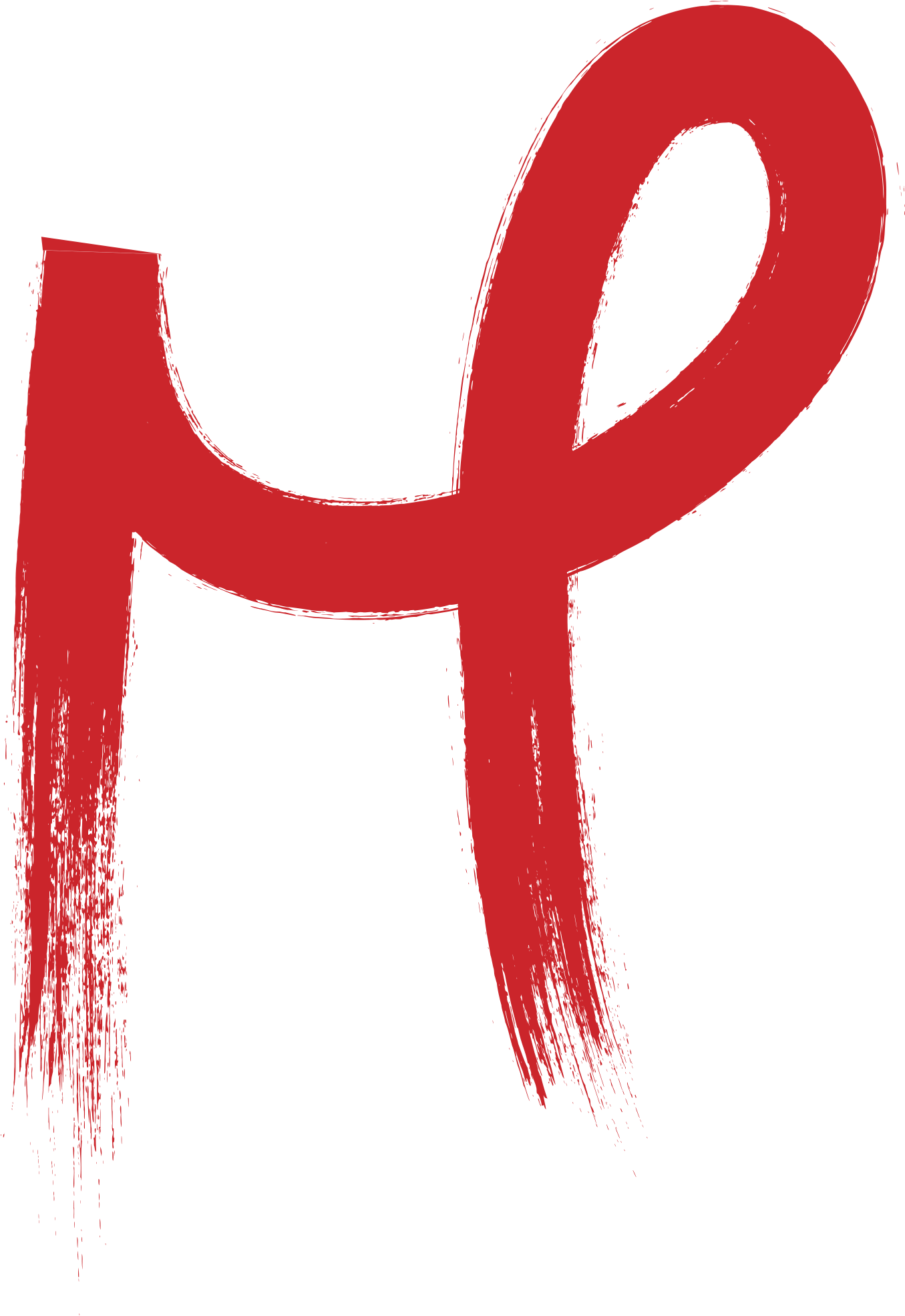 A Branding Project For The Look And Feel Of A Punk - A Branding Project For The Look And Feel Of A Punk (1500x1995)