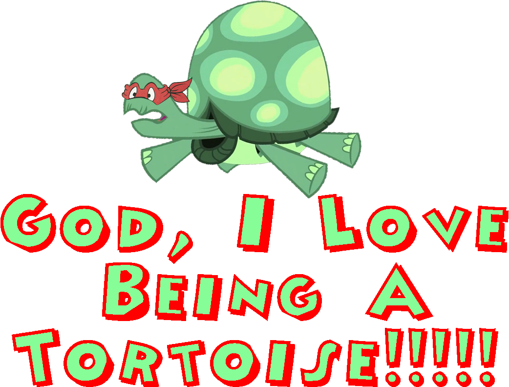 Beong A Tortoie Turtle Text Clip Art Font Product - Camping Polleur (1050x792)