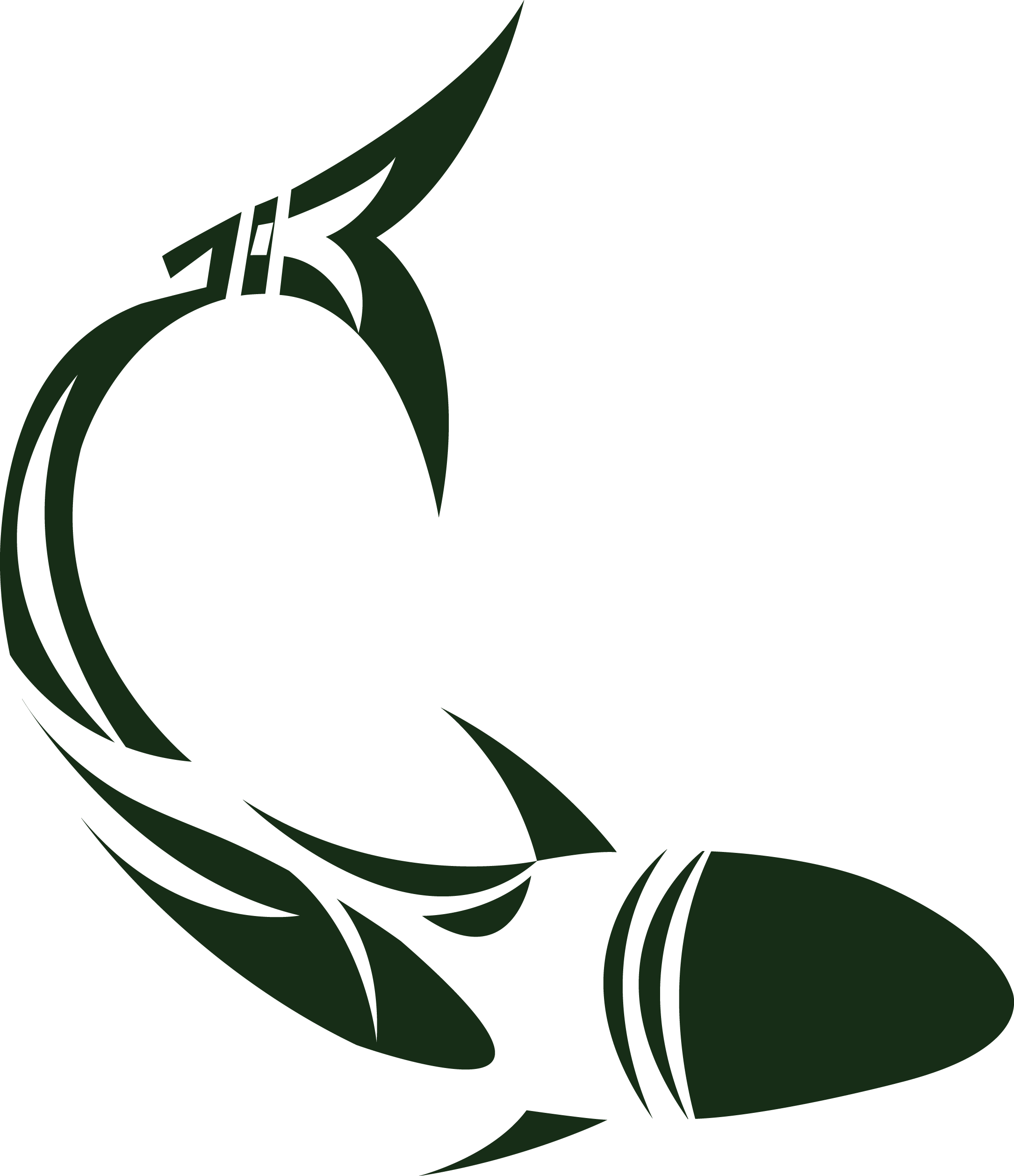 Pencil Art - Drawing (2169x2515)