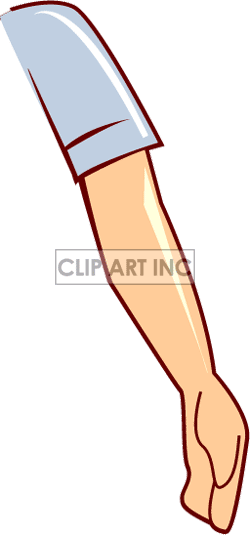 Arm Clip Art Right Arm - Clip Art (250x535)