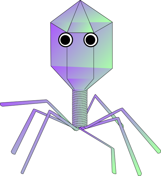 Gambar Virus Animasi (552x600)
