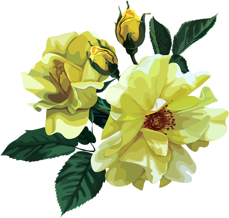 Rose Bouquet Cli̇part Transparent - Art Print: Rib's Seamless Pattern, Bouquet Of Flowers, (800x774)