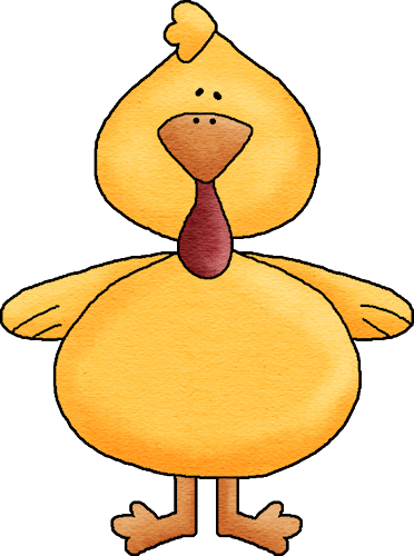 Scrap Animals Animalscrackers - Ich Pflegte, Um Ein Heißes Küken Zu Sein Karte (372x500)