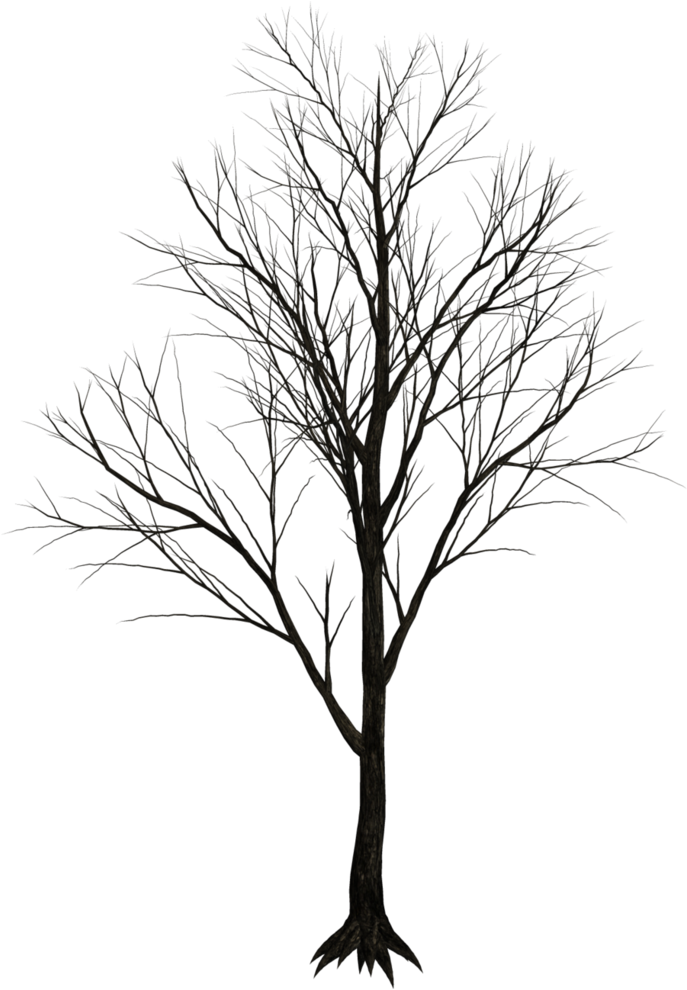 Dark Trees Png Stock 07 By Roys Art Design Inspiration - Dark Tree White Background (781x1023)