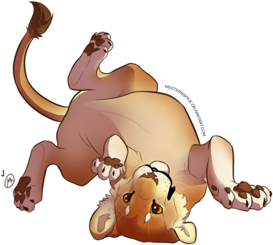 Rolling Cub By Westernspice - Cartoon (935x854)