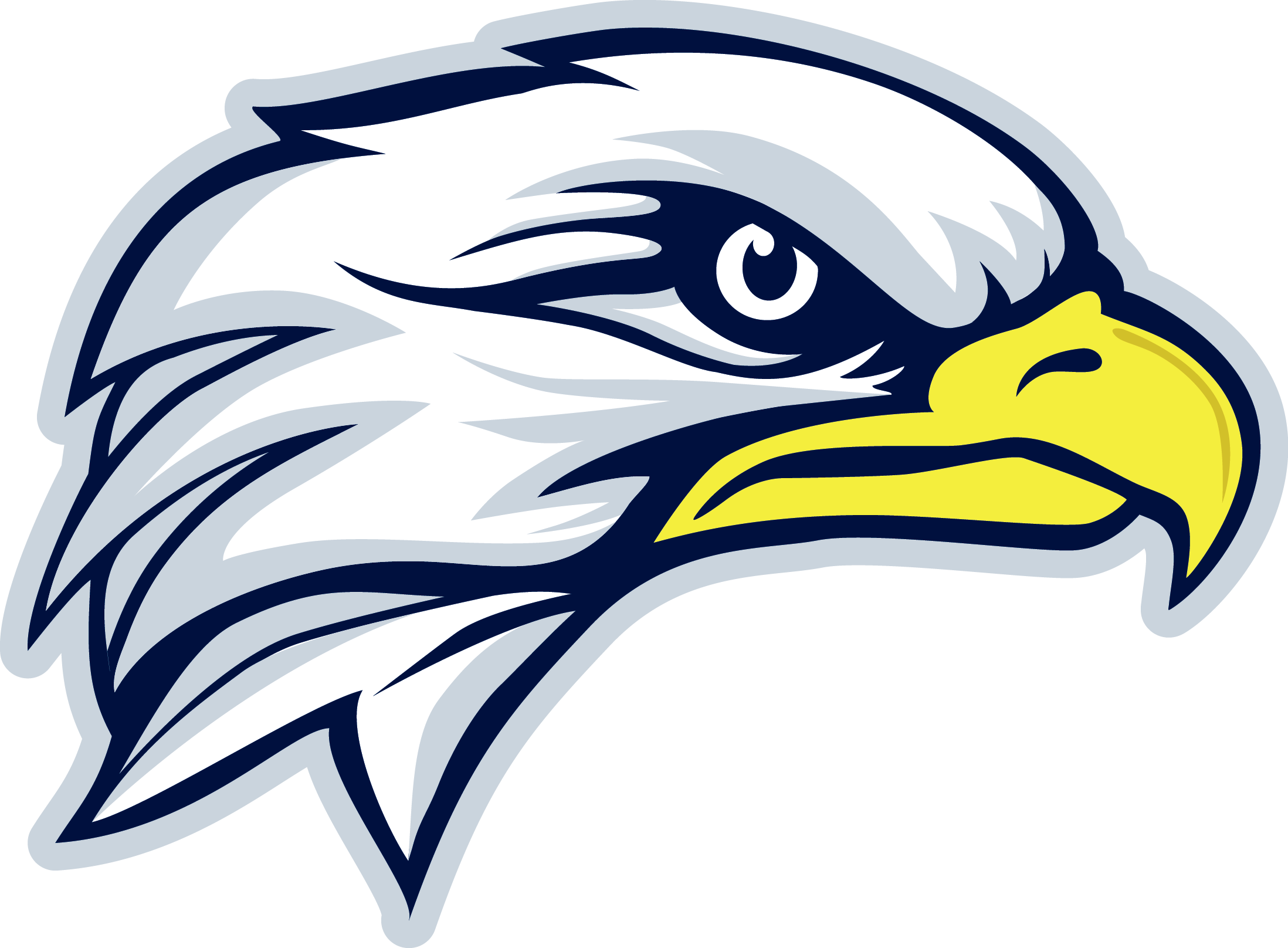 Durham District School Board Eagle Png Logo - Blue Eagle Head Logo (2196x1616)