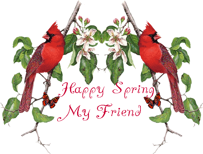 Happy Spring My Friend - Happy Spring My Friend (664x544)