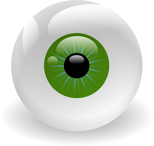 Green Clipart Eyeball - Eye Clipart (640x607)