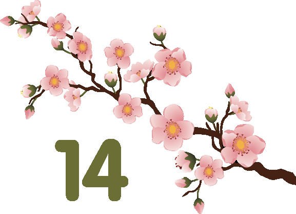 Salesforce Spring 14 Is Coming - Cherry Blossom (577x416)