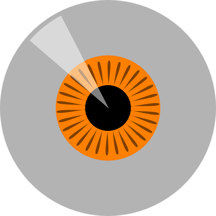 Orange, Hazel Iris Eye Realistic Vector Set Design - Portrait Of A Man (720x720)