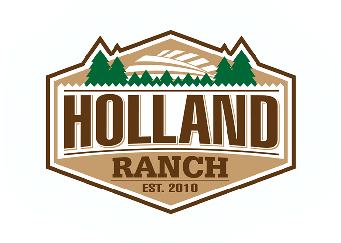 Copyryight 2014 Blackdrop Design Llc All Rights Reserved - Graphic Design (800x494)