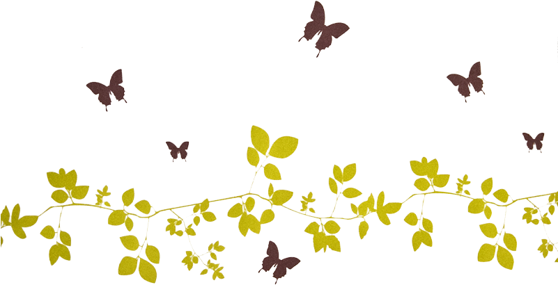 Spring - Spring Leaves Png (800x477)