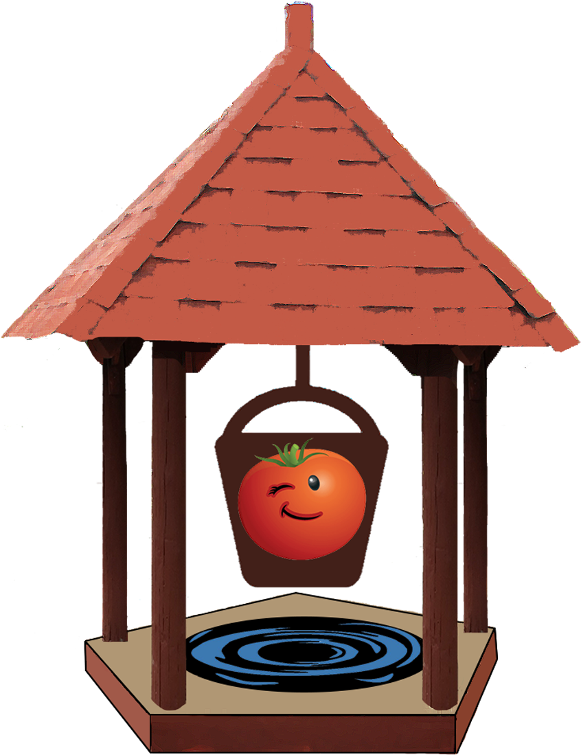 Singer And Song Writer Christopher Laughrey On Vocals - Tree House (864x1224)