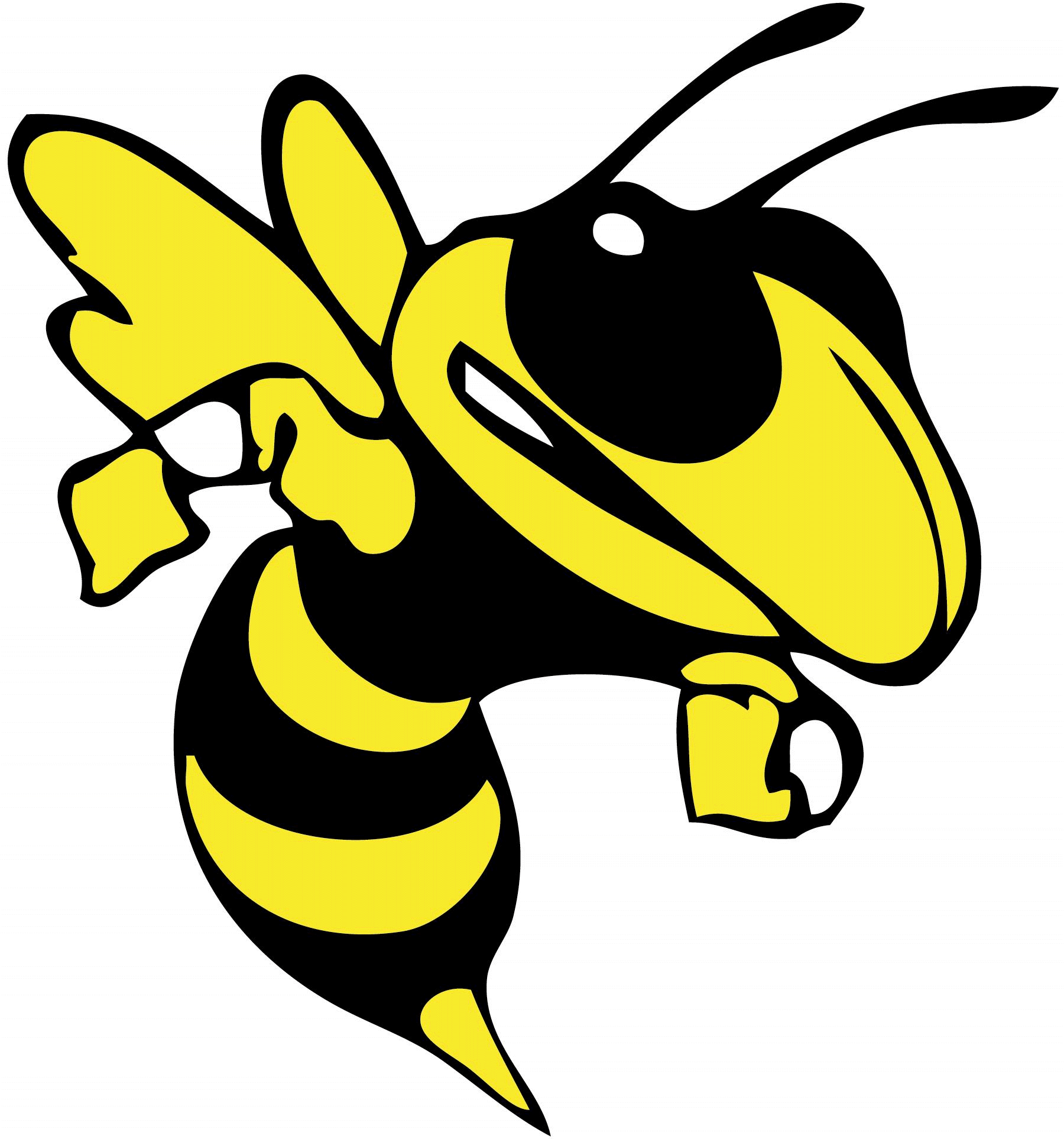 Wasp Clipart Angry Hornet - Hornet Clip Art (1800x1926)