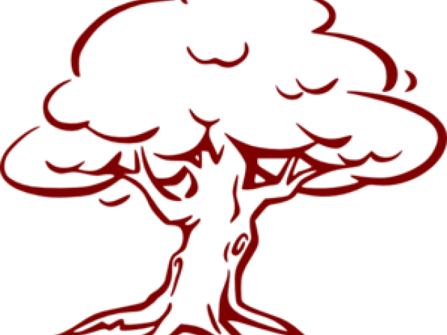 Trees Clipart Oak - Outline Of A Tree (640x480)