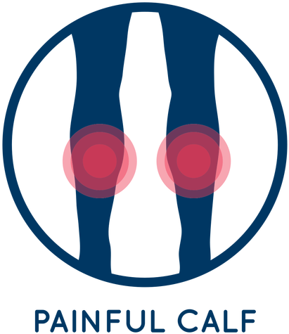Painful Calf Icon Transparent Png - Calf (512x512)