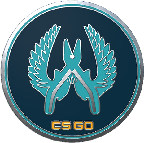 Csgo Collectible Pin Guardian Png Icon Image - Значок Кс Го (512x512)