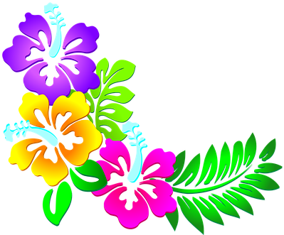 Flowers, Floral, Leaves, Pattern, Border - Hawaiian Flowers Clip Art (451x340)