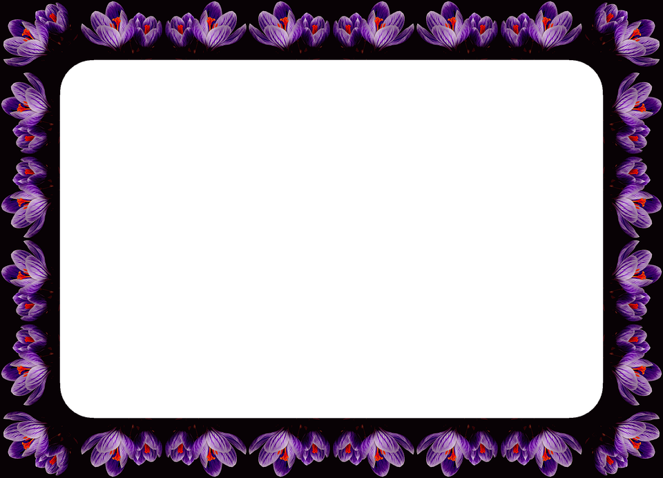 Purple Flower Border 14, Buy Clip Art - Flower (960x692)