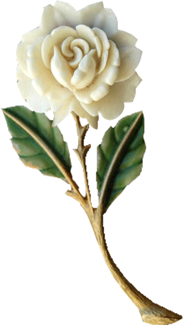 White Rose Png Download - Danke Zu Kardieren Karte (776x1200)