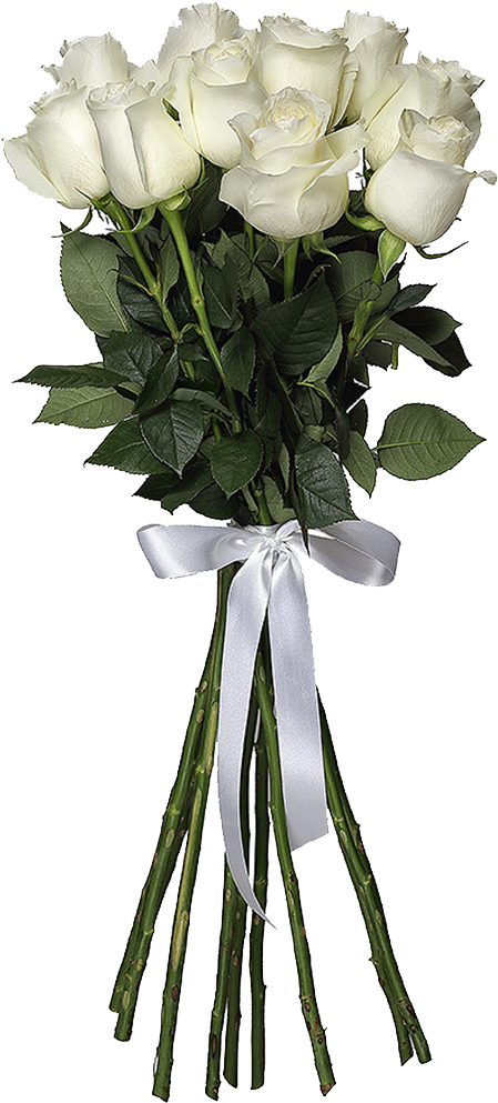 White Roses Png Hd Images - Roses Png Hd (1000x1000)