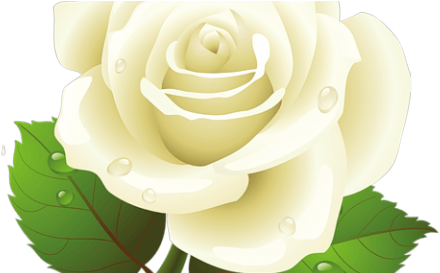 Vector Roses (480x272)