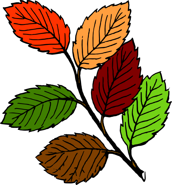 How To Set Use Fall Leaves Svg Vector - Flower With Leaves Clipart (552x594)