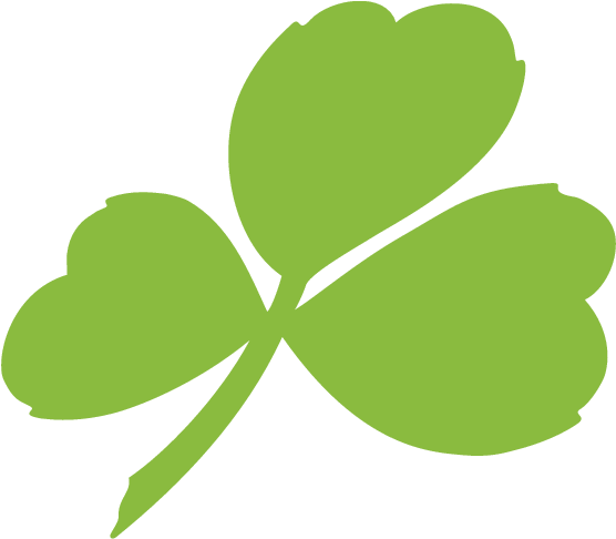 Aer Lingus Airlines Logo (600x600)