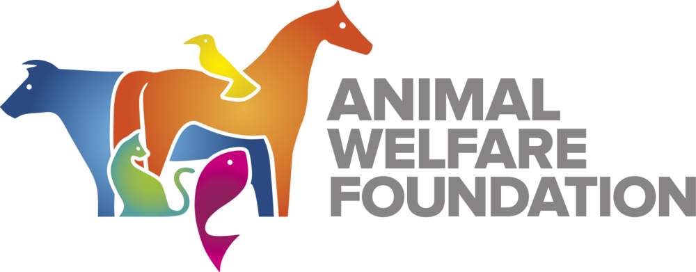Animal Welfare Puppy Veterinarian Veterinary Medicine - Animal Welfare Foundation (1000x391)