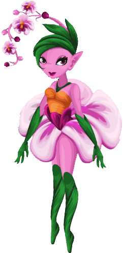 Pixie Adult Orchid - Orchids (242x496)