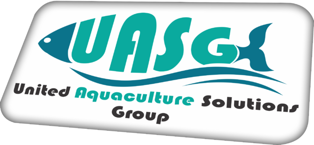 320 × 149 Pixels - Graphic Design (640x297)