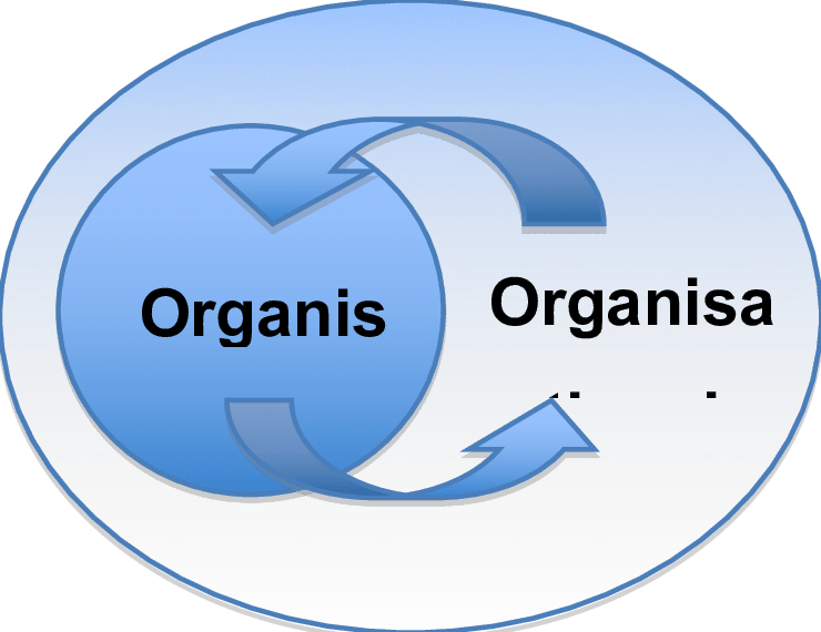 A Schematic Illustration Of The Two-way Relationship - Circle (740x570)