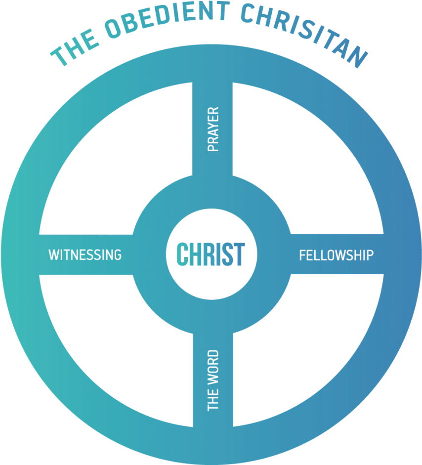 The Wheel Diagram The Pieces Of A Disciple's Life - Portrait Of A Man (953x1024)