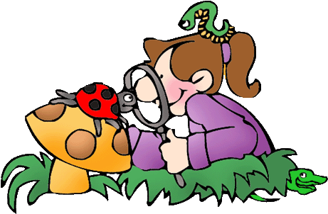 Preschool Clipart On Clip Art Kids Playing And Graphics - Observe Clipart (501x325)